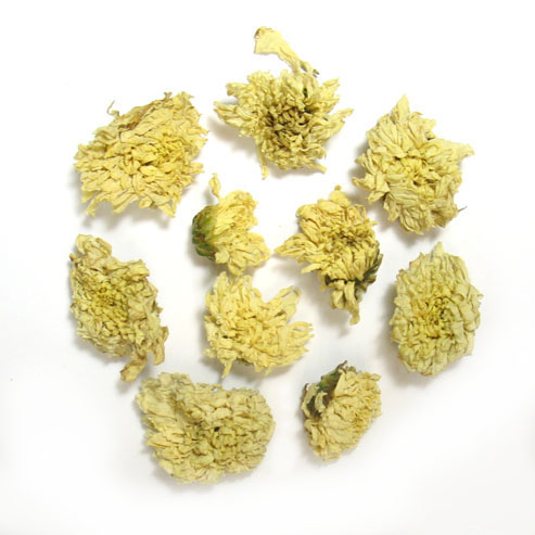 Chrysanthemum (Org)