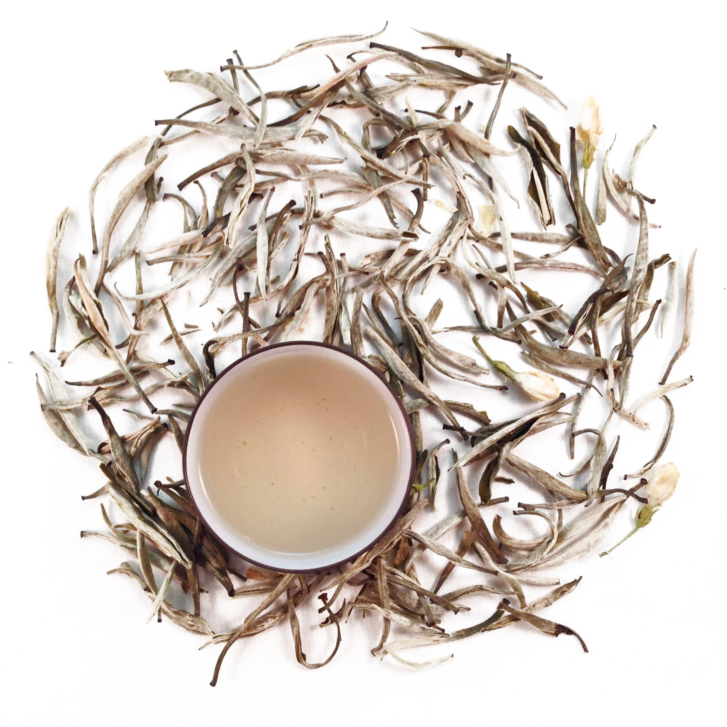 Jasmine Silver Needle White Tea
