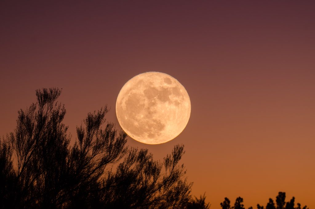 An orange harvest moon in the sky