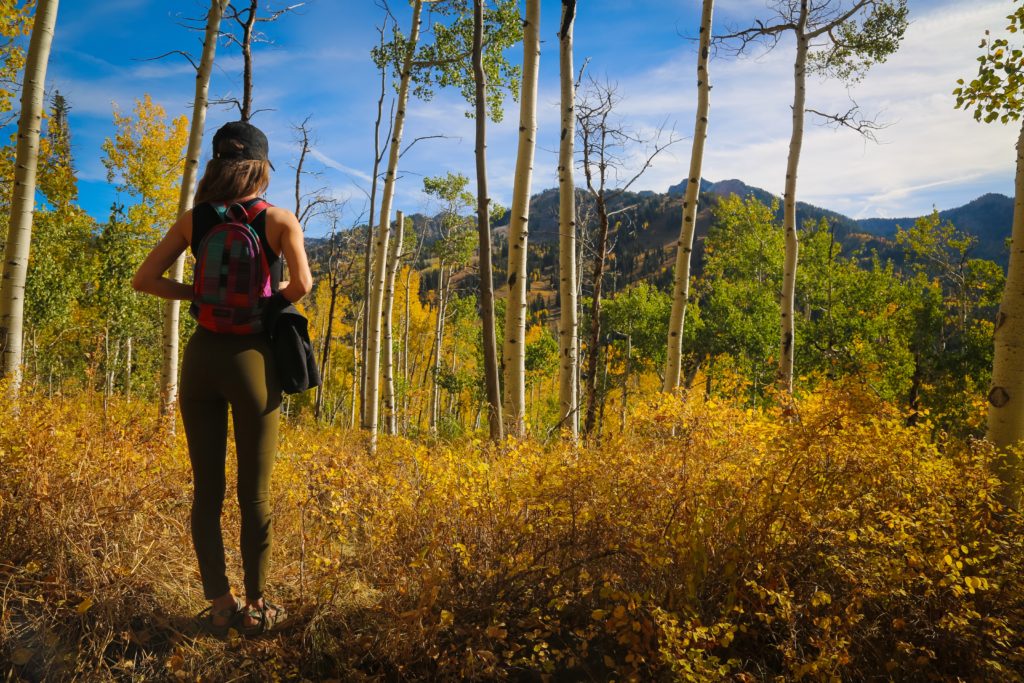 A woman standing in a Colorado forest with golden aspens all around. Perfect scene for sipping tea.