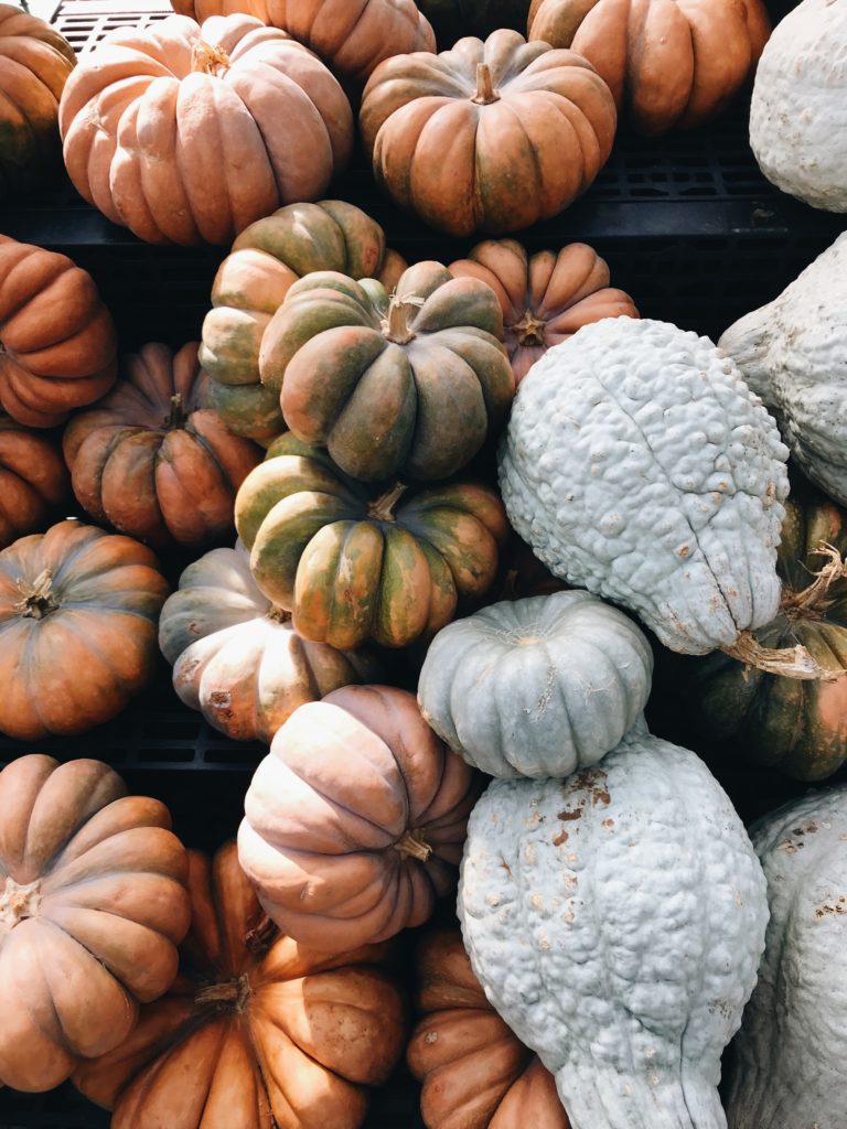 Winter squash and pumpkins arranged in a pile with a close-up POV