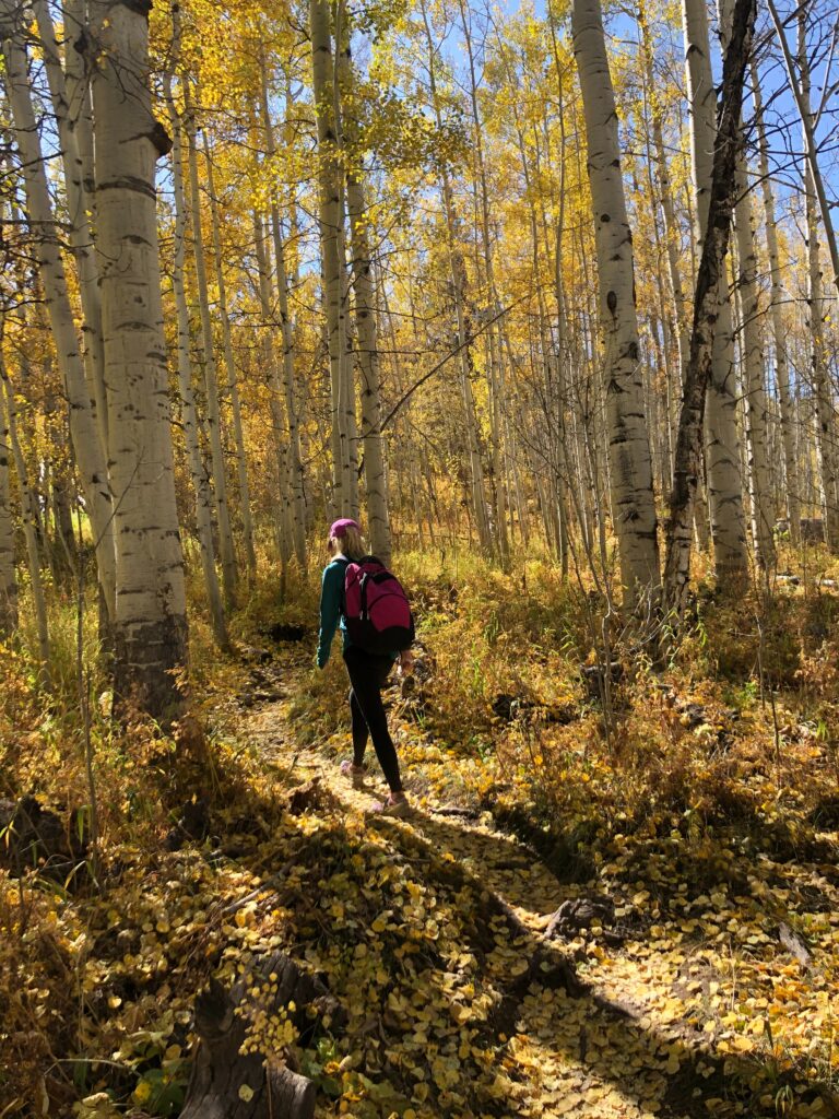 tea for leaf-peeping