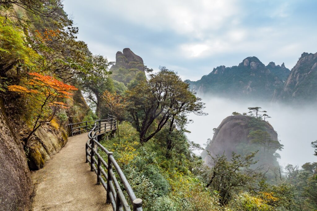 Cloud Forest White tea is an ideal complement for a day in the mountains.