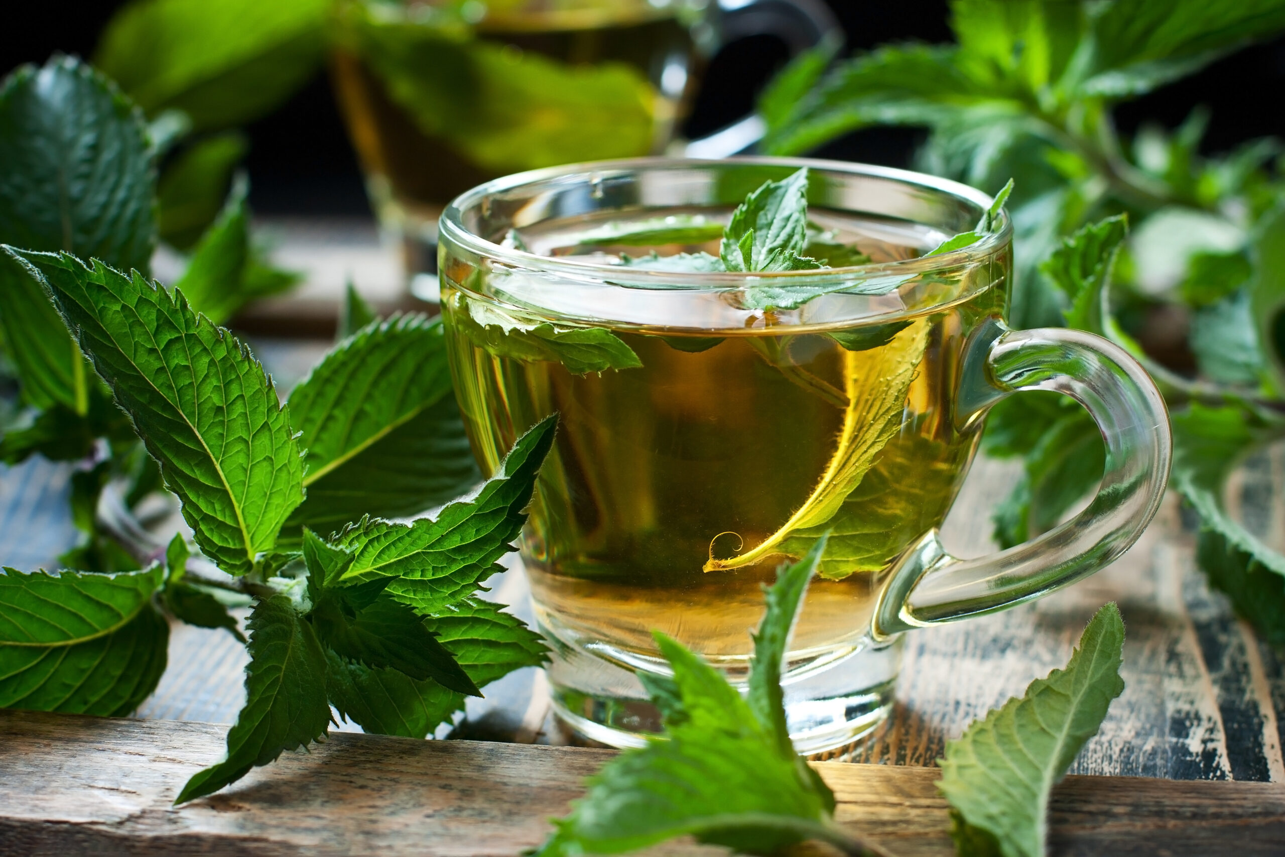 Mint Tea for Wellness & Flavor: Range of Styles Offer Diversity