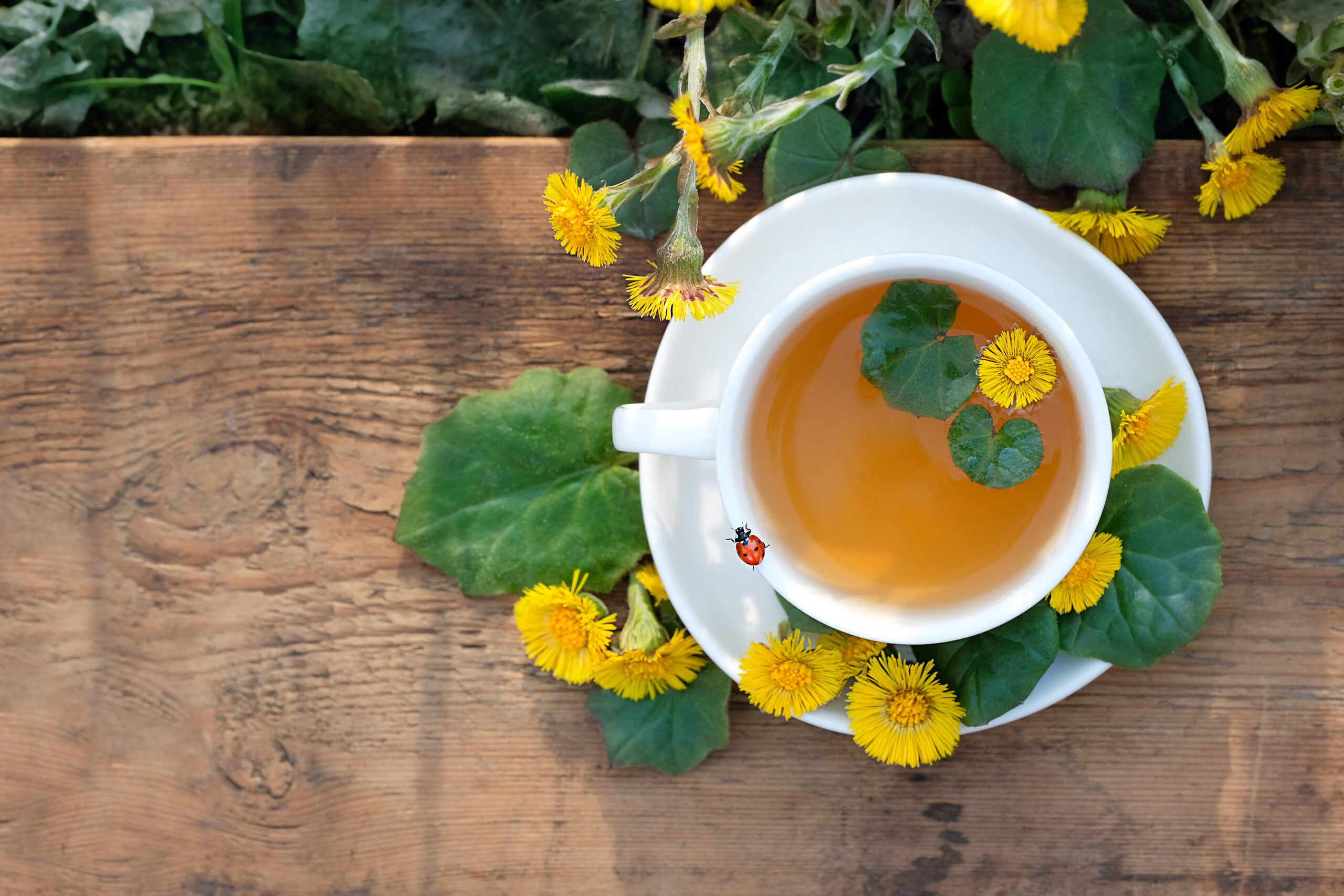 spring detox tea dandelion