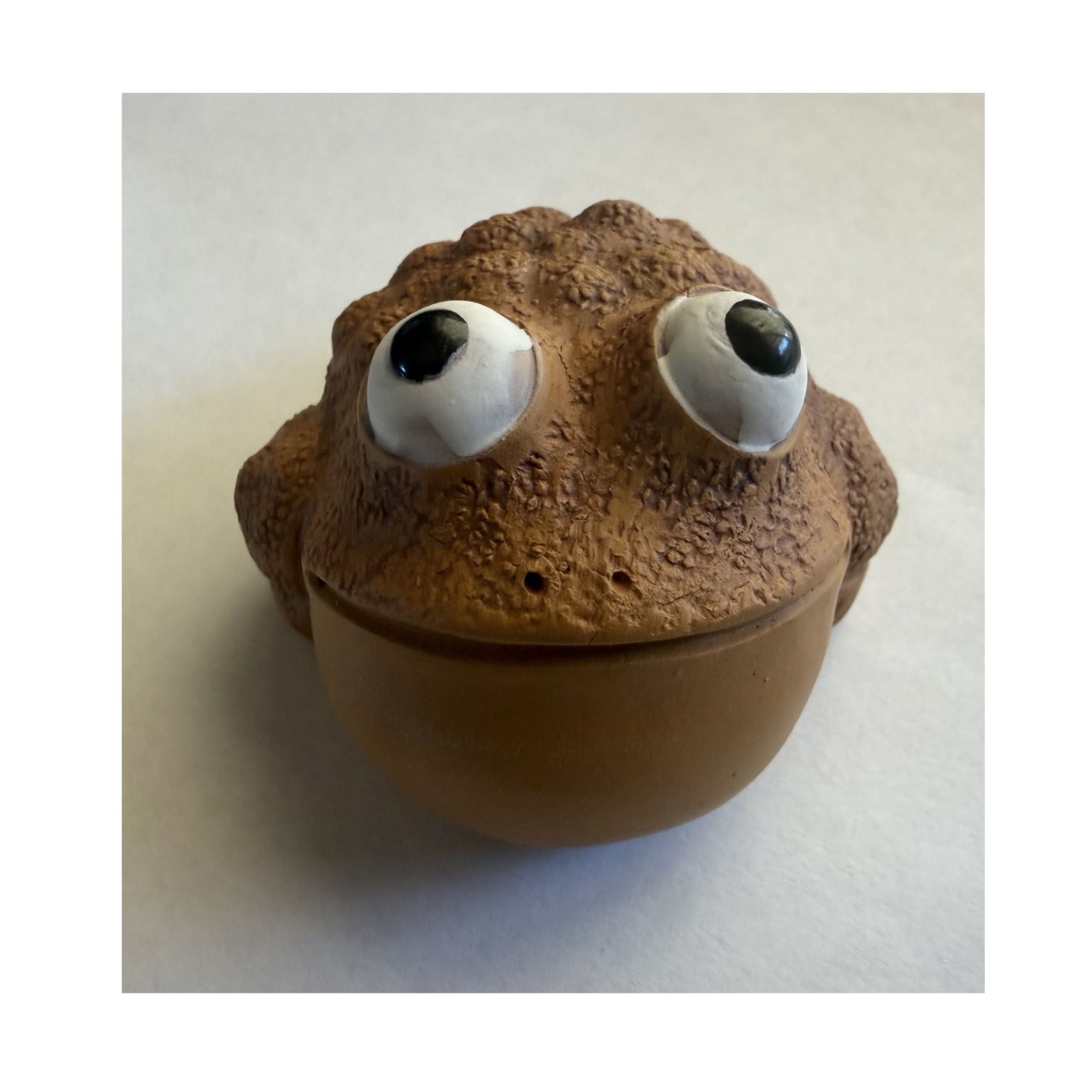 Big Eyes Toad